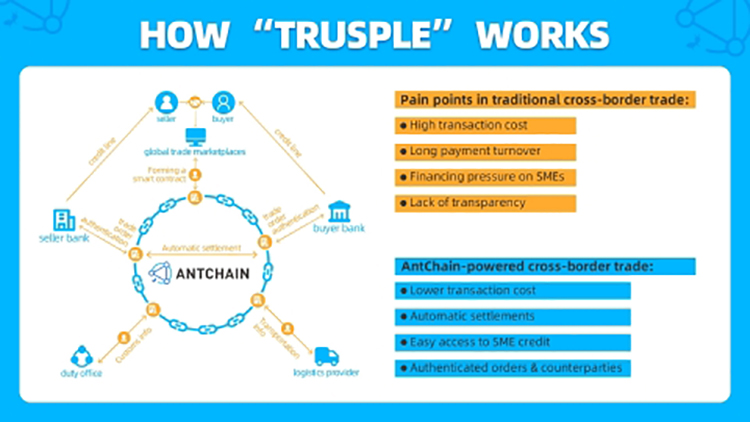 How_Trusple_Works